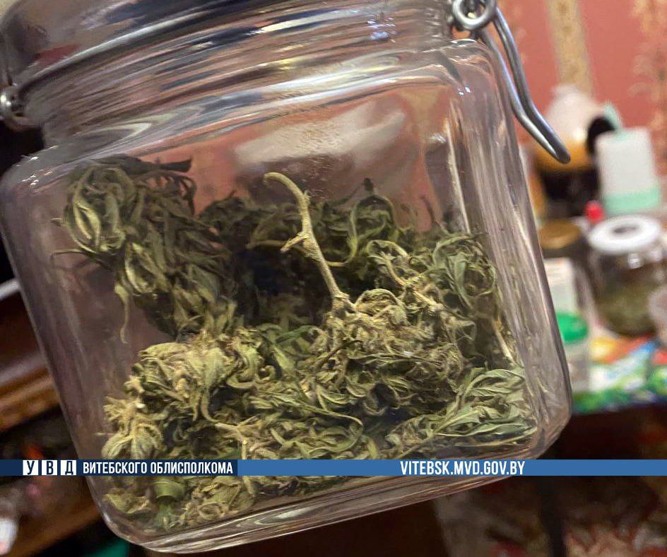 photo_2025-11-24_13-53-14