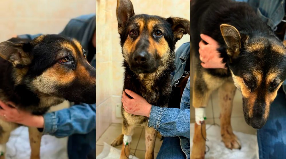 photo_2026-04-14_16-46-46